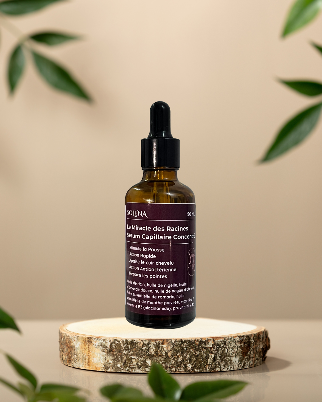 Le miracle des racines